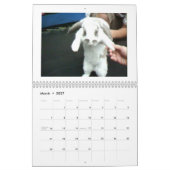 phil-geld, Phil's agenda Kalender (Mar 2027)