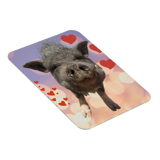 Phil Valentijnsdag Magnet Magneet (Rechterzijde)