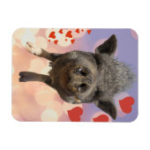 Phil Valentijnsdag Magnet Magneet (Horizontaal)