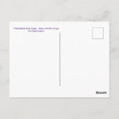 Philadelphia Bald Eagle Briefkaart (Achterkant)