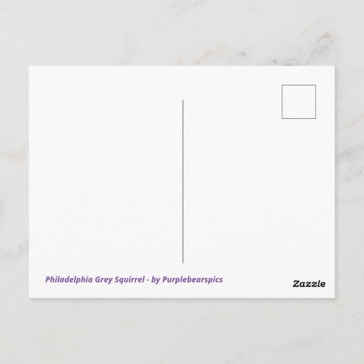 Philadelphia Gray Squirrel Briefkaart (Achterkant)