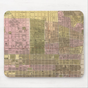 Philadelphia Muismat