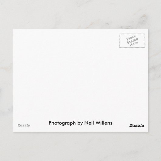 Philadelphia, Pennsylvania nachtskyline Briefkaart (Achterkant)