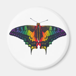 Philadelphia Rainbow Pride Flag Swallowtail Magneet