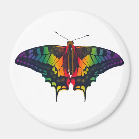 Philadelphia Rainbow Pride Flag Swallowtail Magneet (Voorkant)