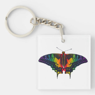 Philadelphia Rainbow Pride Flag Swallowtail Sleutelhanger