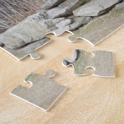 Philadelphia Rocky Statue Legpuzzel (Zijkant)