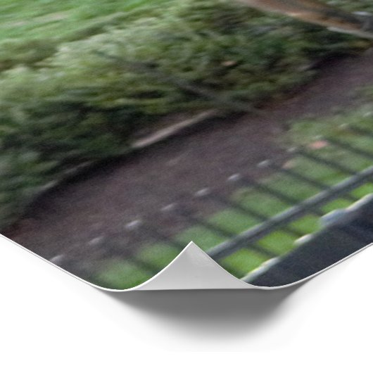 Philadelphia Rocky Statue Poster (Hoek)