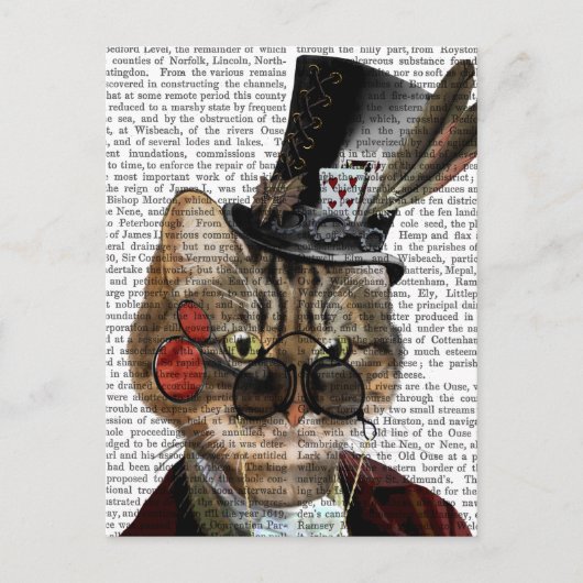 Phileas Feline Steampunk Cat & Top Hat 2 Briefkaart (Voorkant)