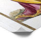 Philip II (1527-98) King of Spain from 'Receuil de Poster (Hoek)