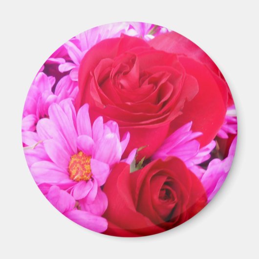 Philippa Magneet (Voorkant)