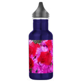 Philippa Waterfles (Links)