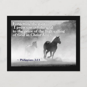 Philippians 3:14 Ik druk op het doel, Paarden Briefkaart