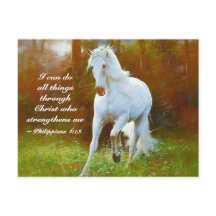 Philippians 4:13 Alles door Christus, Paard