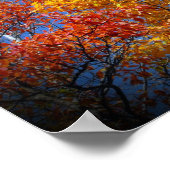 Philippians 4:13 Ik kan alles doen in de herfst Poster (Hoek)