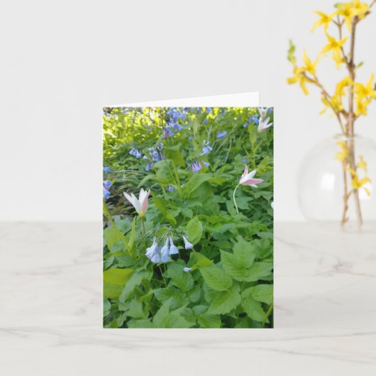 Philippians 4:4 Blank Card Kaart (Gele Bloem)