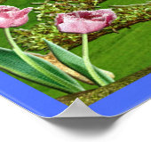 Philippians 4:4 poster Scripts (Hoek)