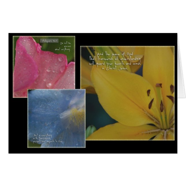 Philippians Floral (Voorkant Horizontaal)