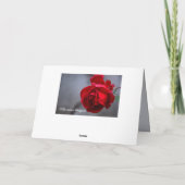 Philippiërs 1:6 Ik heb vertrouwen in deze Bijbelse Kaart (Achterkant)