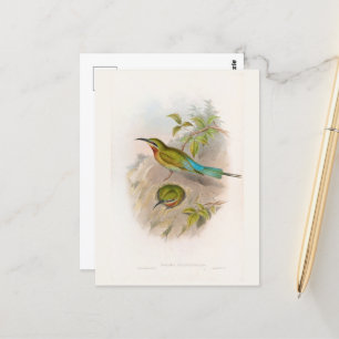 Philippine Bee-Eater (1850-1883) Briefkaart
