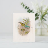 Philippine Bee-Eater (1850-1883) Briefkaart (Staand voorkant)