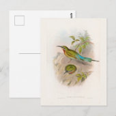 Philippine Bee-Eater (1850-1883) Briefkaart (Voorkant / Achterkant)