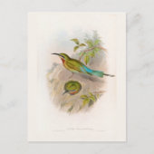 Philippine Bee-Eater (1850-1883) Briefkaart (Voorkant)