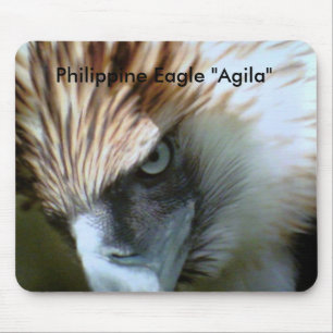 , Philippine Eagle "Agila" Muismat
