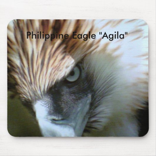 , Philippine Eagle "Agila" Muismat (Voorkant)