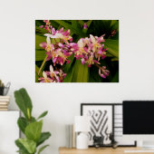 Philippine Ground Orchids Poster (Thuiskantoor)