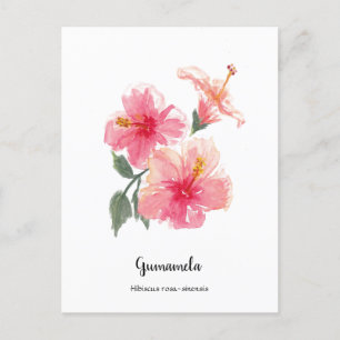Philippine Gumamela Hibiscus Waterverf Poster Feestdagenkaart