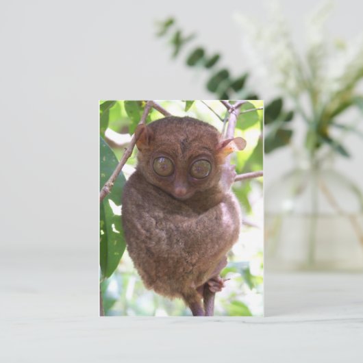 Philippine Tarsier Briefkaart (Staand voorkant)