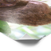 Philippine Tarsier-foto Foto Afdruk (Hoek)