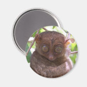Philippine Tarsier Magneet (Voorkant / Achterkant)