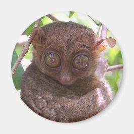Philippine Tarsier Magneet