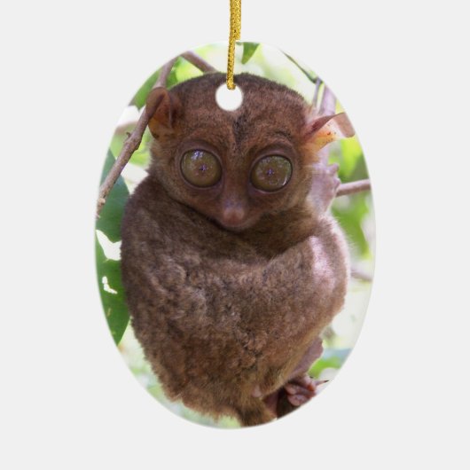Philippine Tarsier Ornament (Voorkant)