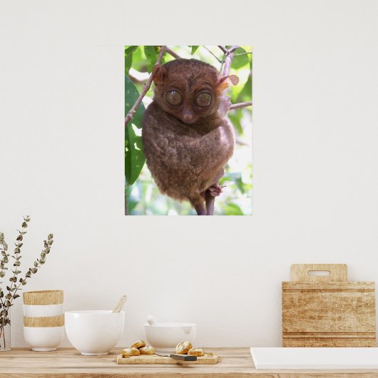Philippine Tarsier Print (Keuken)