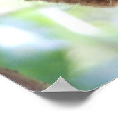 Philippine Tarsier Print (Hoek)