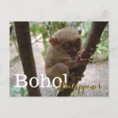 Philippine Tarsier uit Bohol Briefkaart (Voorkant)