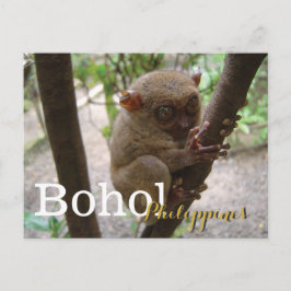 Philippine Tarsier uit Bohol Briefkaart