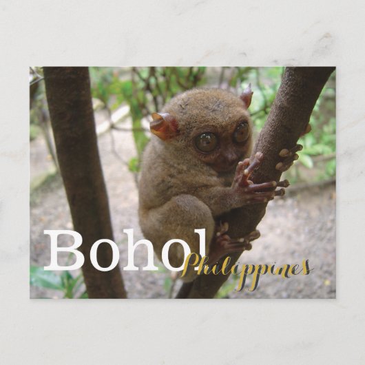 Philippine Tarsier uit Bohol Briefkaart (Voorkant)