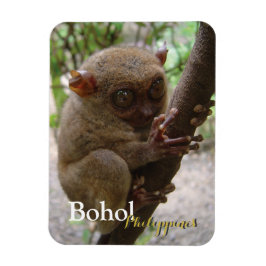 Philippine Tarsier van Bohol Magneet