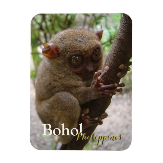 Philippine Tarsier van Bohol Magneet (Verticaal)