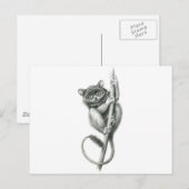 Philipppine Tarsier schukina Briefkaart (Voorkant / Achterkant)