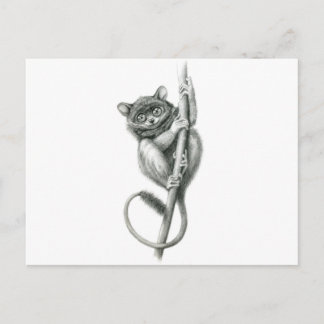 Philipppine Tarsier schukina Briefkaart