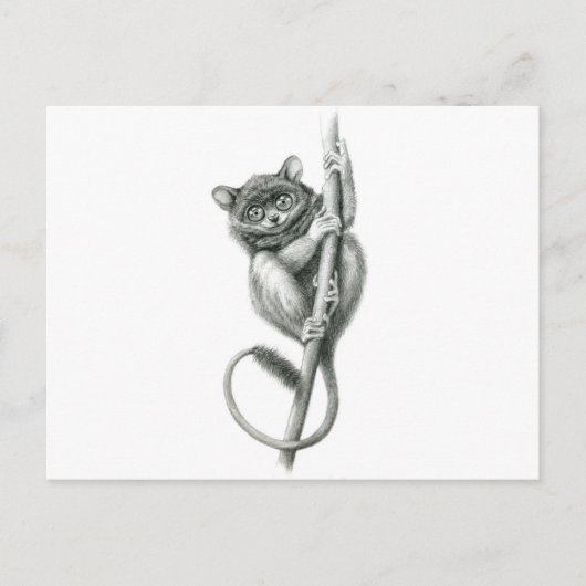 Philipppine Tarsier schukina Briefkaart (Voorkant)