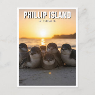 Phillip Island Australië Briefkaart