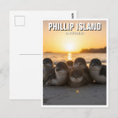 Phillip Island Australië Briefkaart (Voorkant / Achterkant)