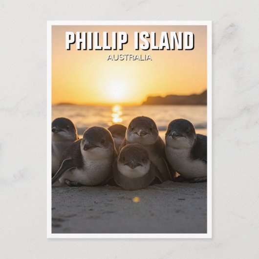 Phillip Island Australië Briefkaart (Voorkant)