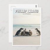 Phillip Island Australië Briefkaart (Voorkant / Achterkant)